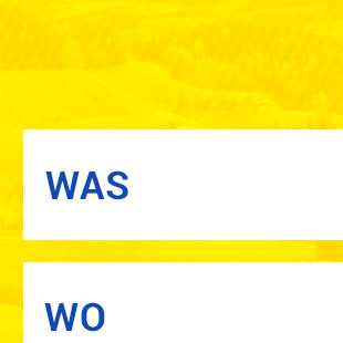 DasSchnelle.AT - webdesign - Teaser